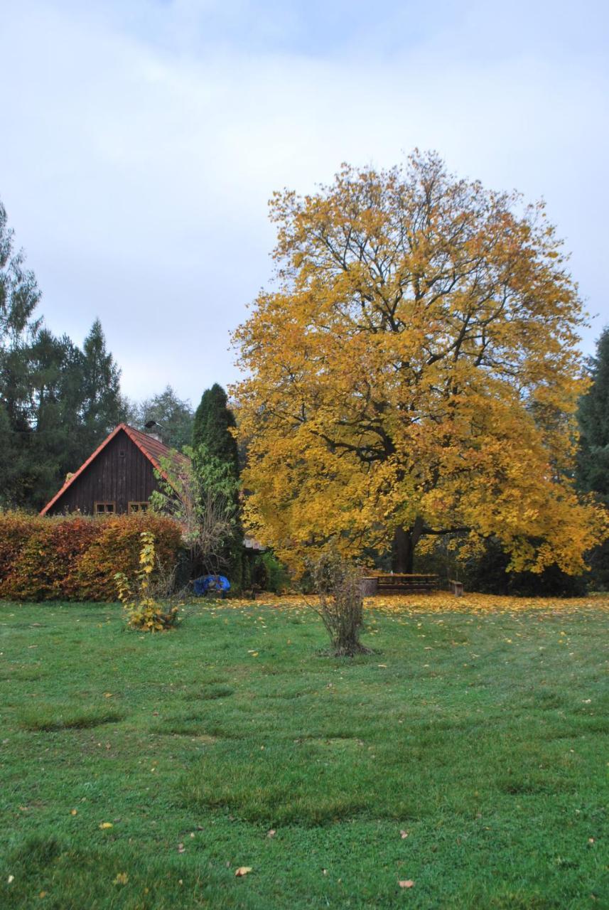 Adrspach U Meieru Extérieur photo
