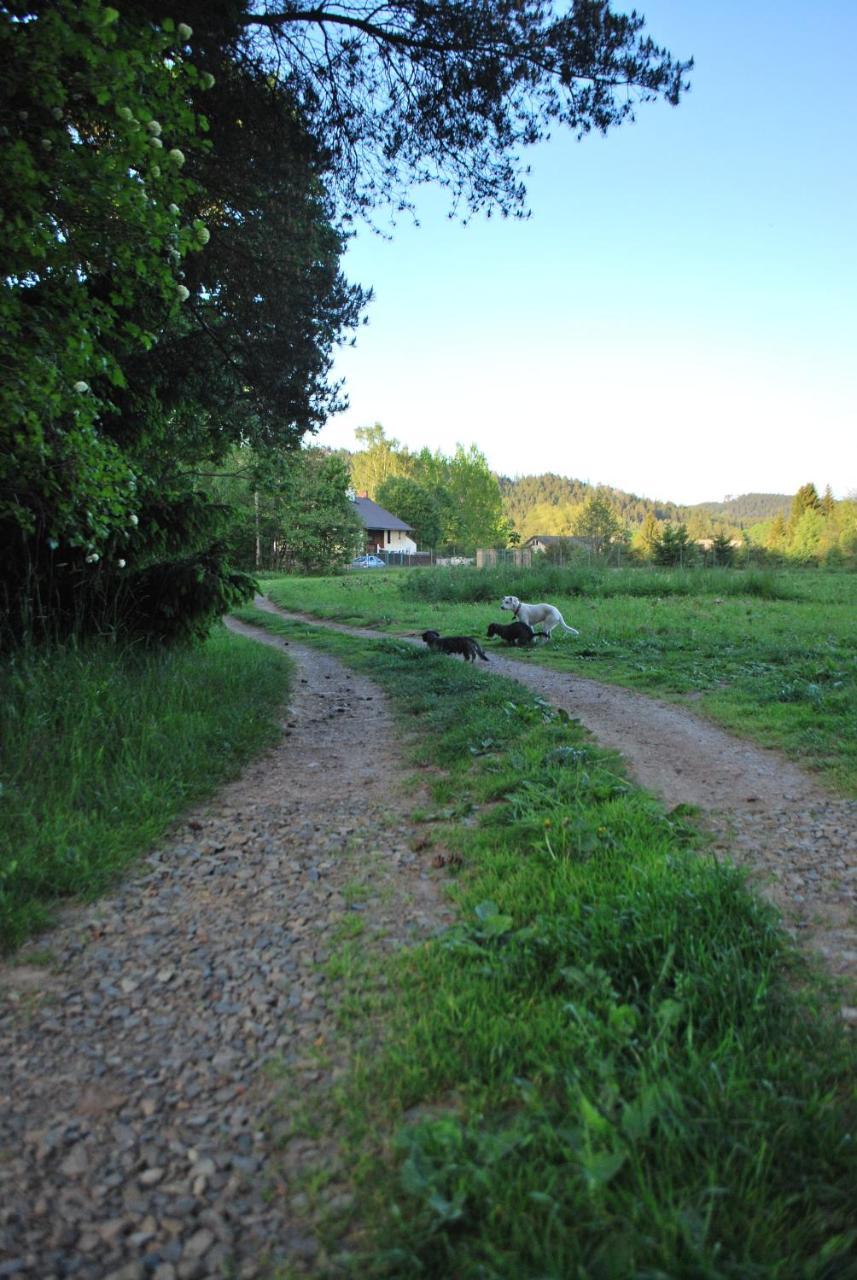 Adrspach U Meieru Extérieur photo