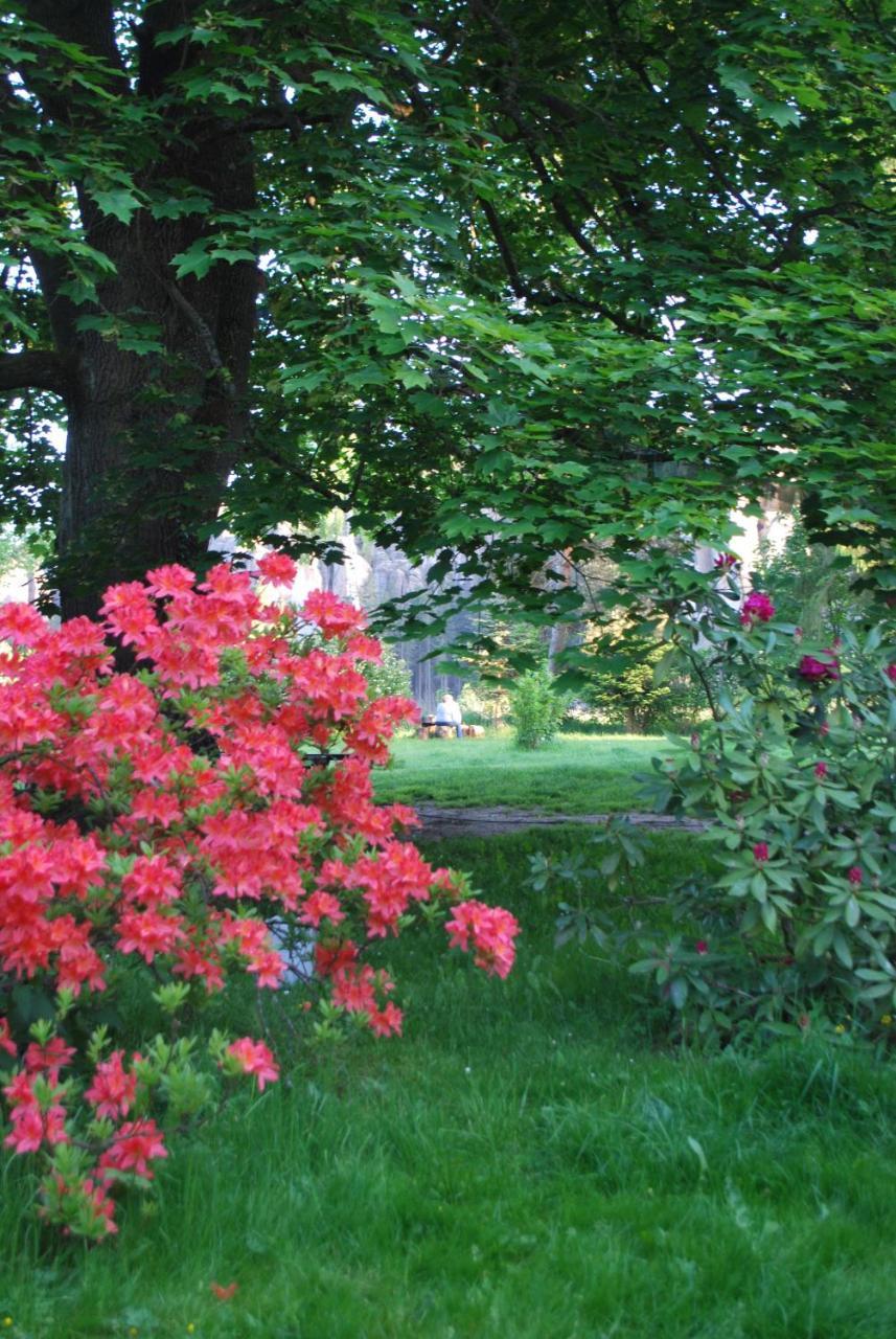 Adrspach U Meieru Extérieur photo